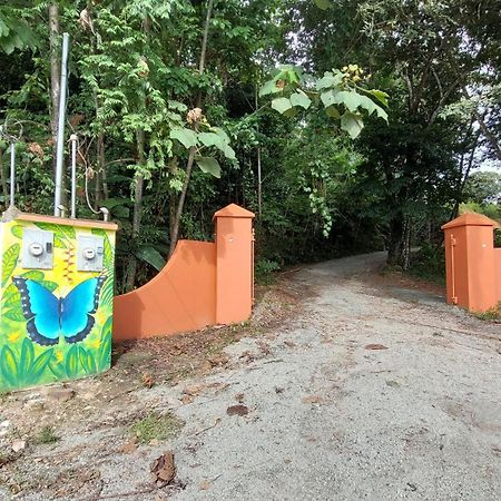 Studio Pilon De Pavones Pavones (Puntarenas) Exterior foto